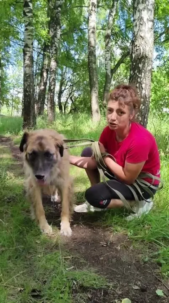 Скромный и немного робкий Тайсон на самом деле уже прошёл сложный путь адаптации👏💪, ведь когда девочки начинали с ним заниматься