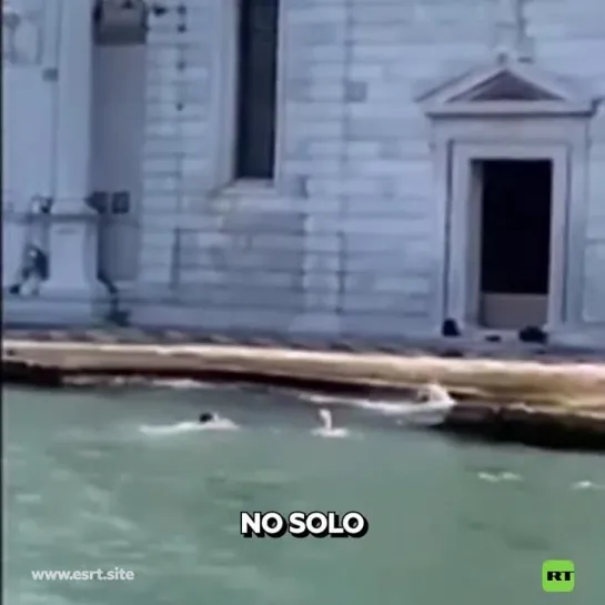 Turistas nadan a las orillas de histórico cementerio de Venecia