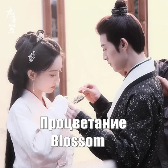 Мэн Цзы И - Ли Юнь Жуй / Процветание, Blossom (Jiu Chong Zi 九重紫) Расцветать