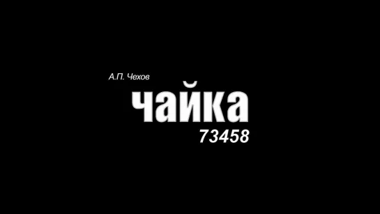 Спектакль | 11 января 17:00 «Чайка» А.П. Чехов