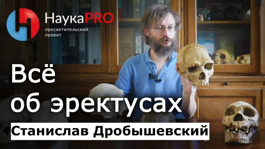 Всё об эректусах | Хомо эректус | Homo erectus – Станислав Дробышевский | Лекции по антропологии