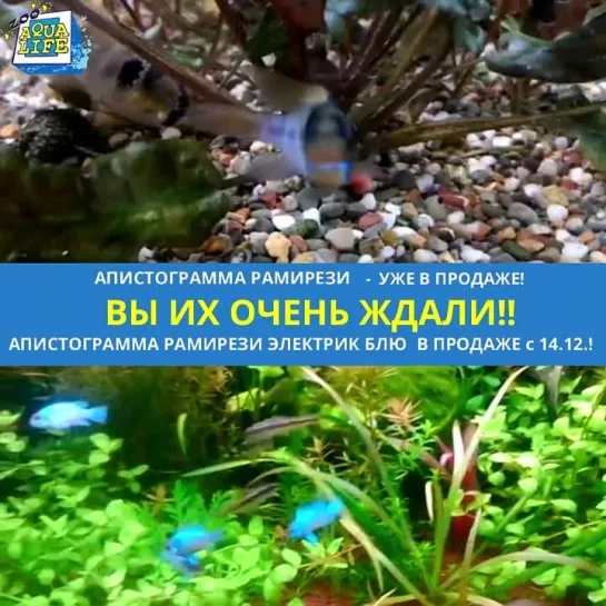 ВЫ ИХ ОЧЕНЬ ЖДАЛИ!!