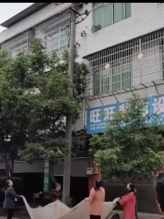 Stray cat dangling from a utility pole is saved by onlookers