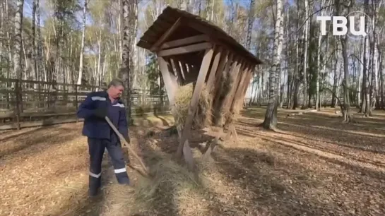 🦬 Малыш, Мальвина и Катюша!