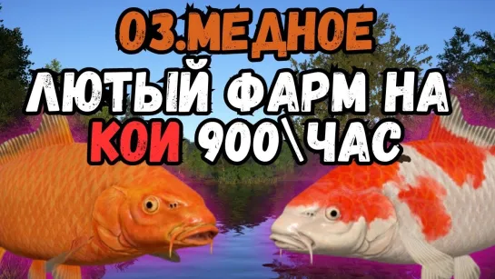 [Конгер] ЛЮТЫЙ ФАРМ НА МЕДНОМ 900+-час/оз.Медное ● Русская Рыбалка 4 | РР4