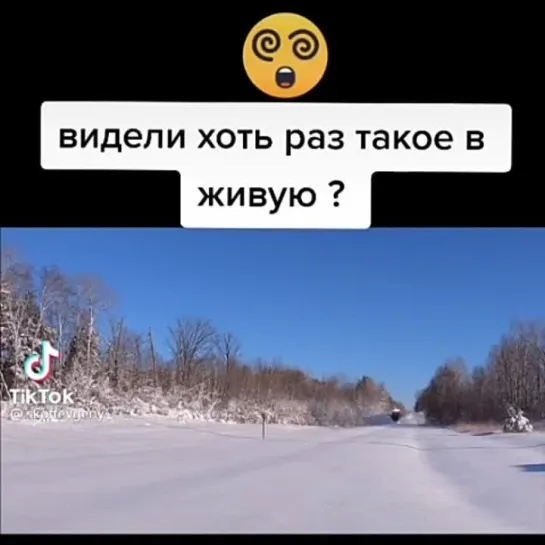 Гуляешь в лесу спокойно, и тут...