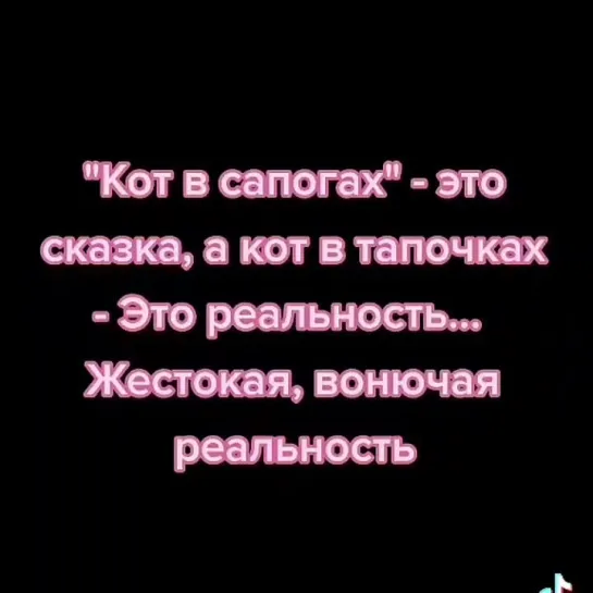 Анекдоты дня про дышащие кроссовки, сказка про кота в сапогах и тапочках, колобка бабушкой дедушкой