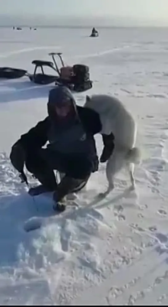 Зимняя рыбалка любви не помеха