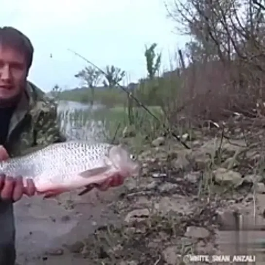 Зацените какого красавца зацепил.