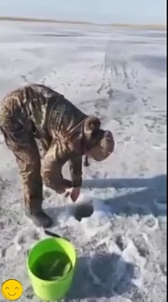 Не понимаю в чем кайф ловить с лунки.