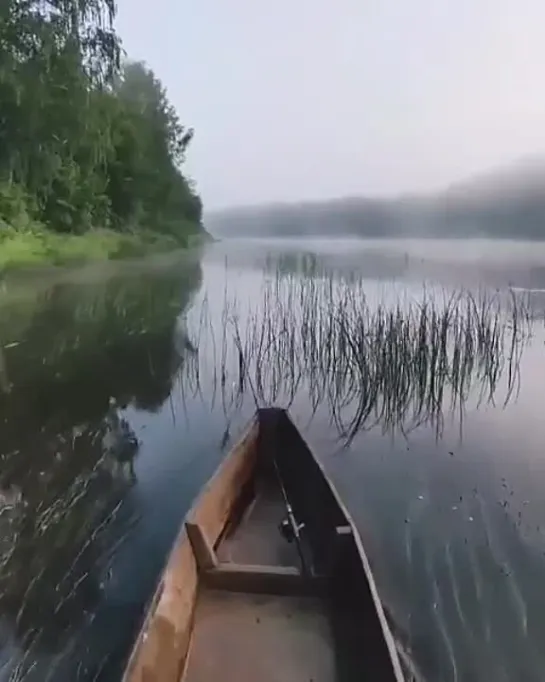 Красота  скорей бы вечер и на рыбалку.