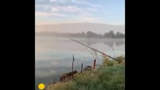 Хочу проснутся в 3 собраться до 4 приехать в 5 и покайфовать.