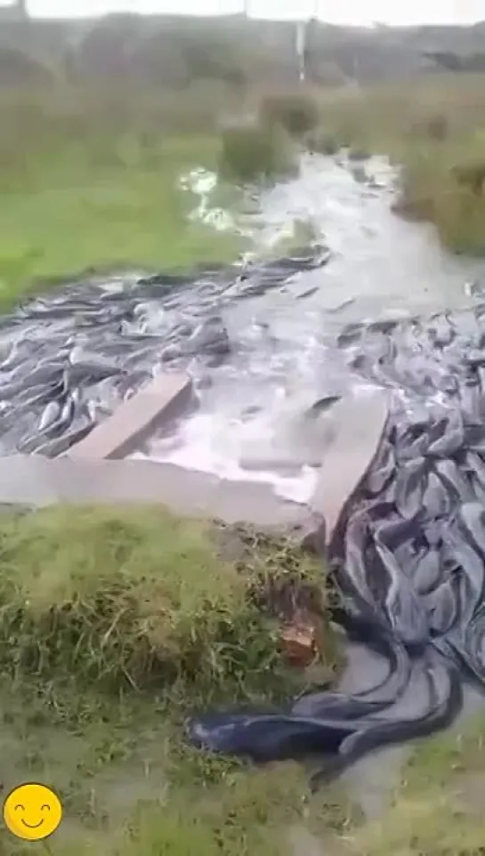 Водички явно не хватает