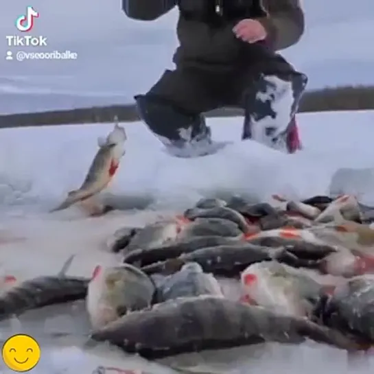 Вырвались отдохнуть 🎣👍