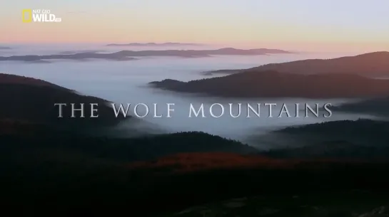 Nat Geo Wild：Волчьи горы ⧸ The Wolf Mountains (2013)