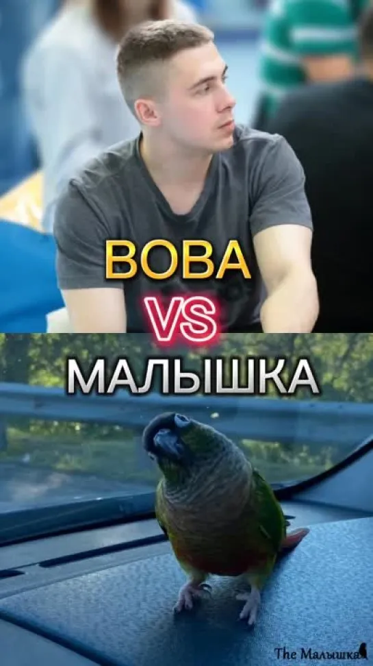 Вова vs Малышка