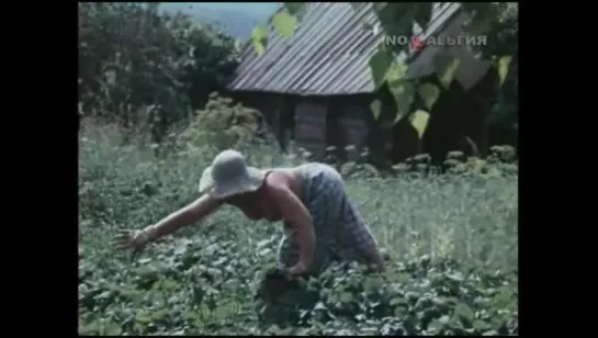 Во саду ли во огороде (1988) советские дачники