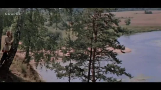 Огонь, вода и. медные трубы (1967)