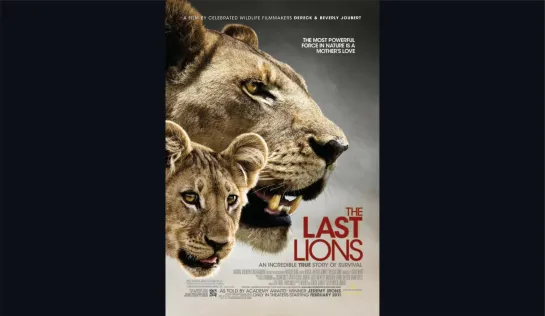 Последние львы/The Last Lions/Фильм, 2011