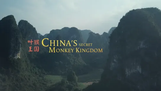 Тайное обезьянье царство в Китае/China's Secret Monkey Kingdom/Документальный фильм, 2021