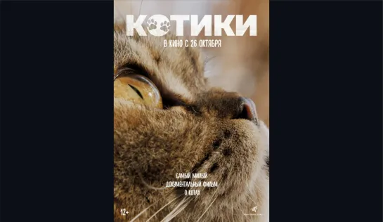 Котики/Cat Daddies/Фильм, 2022