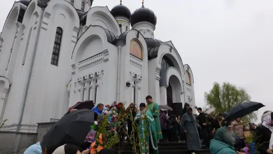 Вербное воскресение! 21 04 2019