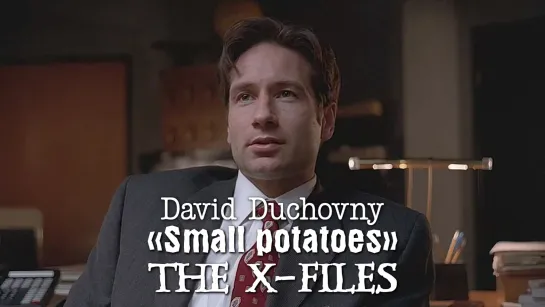 David Duchovny (The X-Files; Small potatoes, 1997)