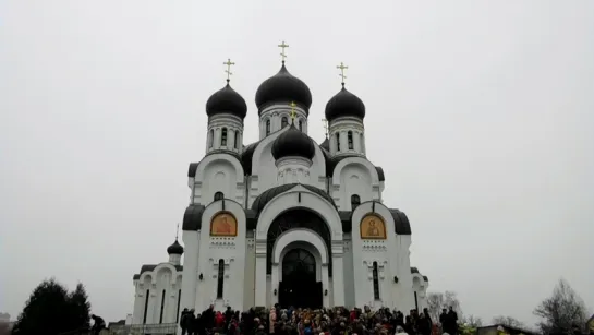 "Во - первых, я из Пинска ........" Вербное воскресенье. 01 04 2018