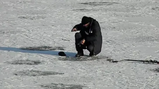 ""Во - первых, я из Пинска ....."    На Пине.