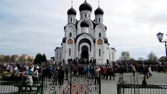 "Во - первых, я из Пинска ........"  Вербное воскресение  09 04 2017