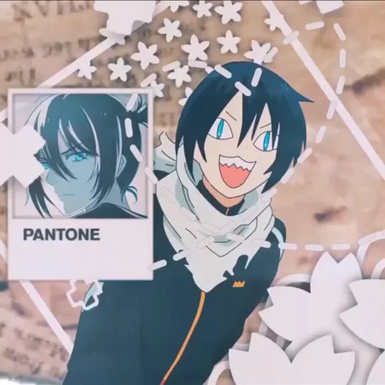 Noragami ⊱ vine ⊰ Yato