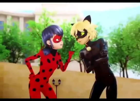 Miraculous: Tales of Ladybug & Cat Noir ⊱ vine ⊰ Ladybug & Cat Noir