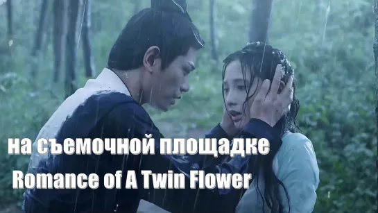 Прощание в дождливый день. Мечтательница в весеннем будуаре (Romance of A Twin Flower 春闺梦里人)