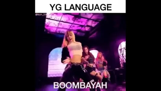 YG