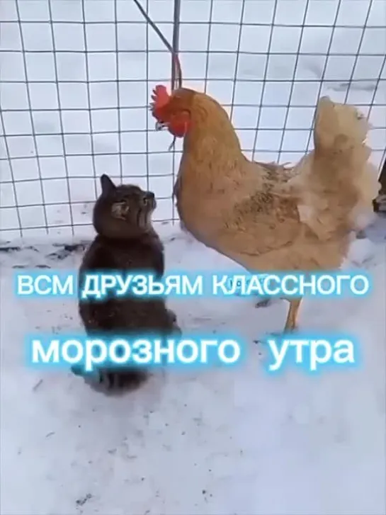 Давай гулять