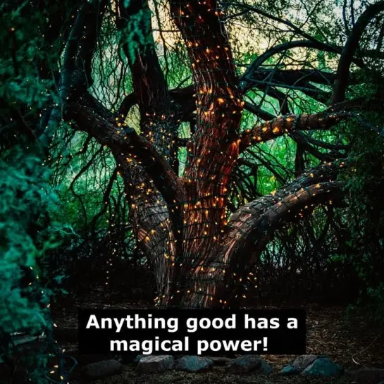 Цитаты на английском языке: Anything good has a magical power!