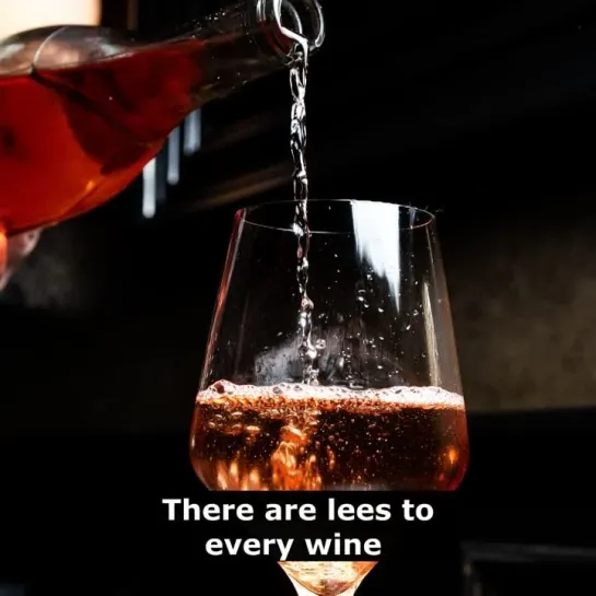 Английские пословицы: There are lees to every wine