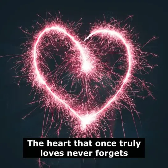 Английские пословицы: The heart that once truly loves never forgets