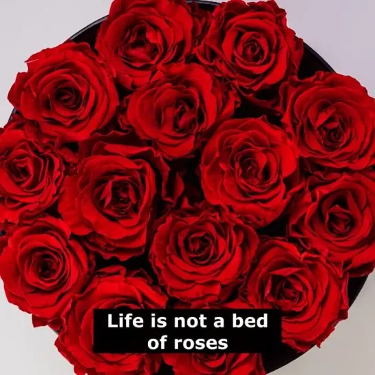 Английские пословицы: Life is not a bed of roses