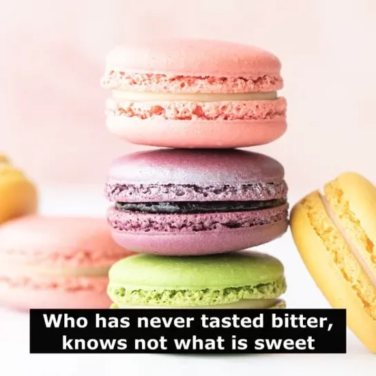 Английские пословицы: Who has never tasted bitter, knows not what is sweet