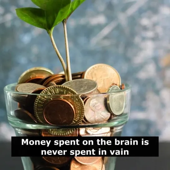 Английские пословицы: Money spent on the brain is never spent in vain