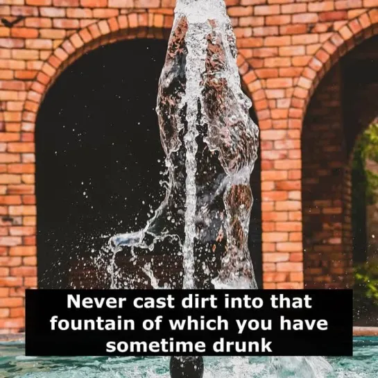 Английские пословицы: Never cast dirt into that fountain of which you have sometime drunk