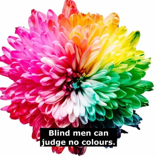 Английские пословицы: Blind men can judge no colours