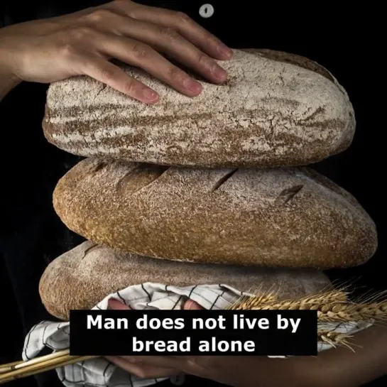 Английские пословицы: Man does not live by bread alone