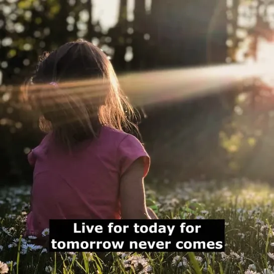 Английские пословицы: Live for today for tomorrow never comes