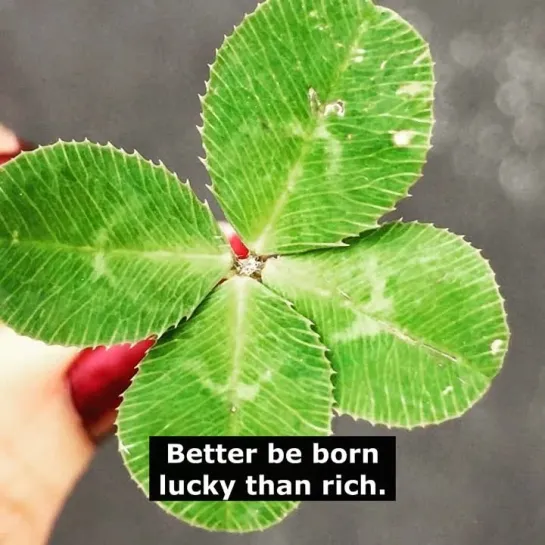 Английские пословицы: Better be born lucky than rich