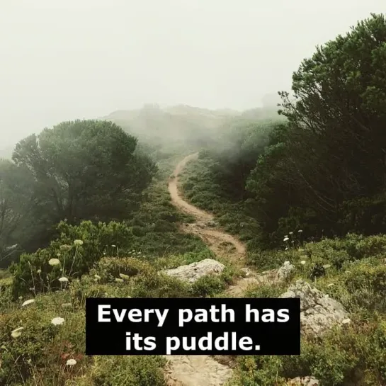 Английские пословицы: Every path has its puddle