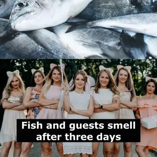 Английские пословицы: Fish and guests smell after three days