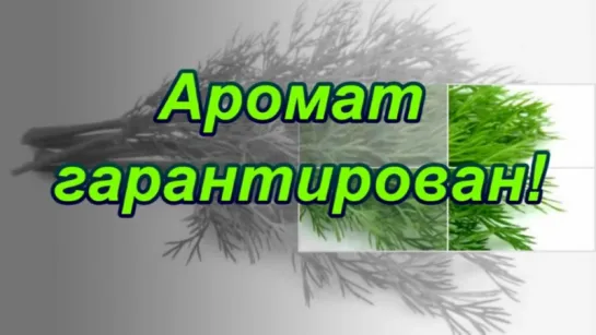 Как использовать жесткие СТЕБЛИ зелени при готовке؟