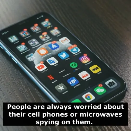 Шутки на английском языке: People are always worried about their cell phones or microwaves spying on them.